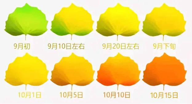 d7efd69d96320029c24b845c6ce5c9a0-sz_161886 d7efd69d96320029c24b845c6ce5c9a0-sz_161886