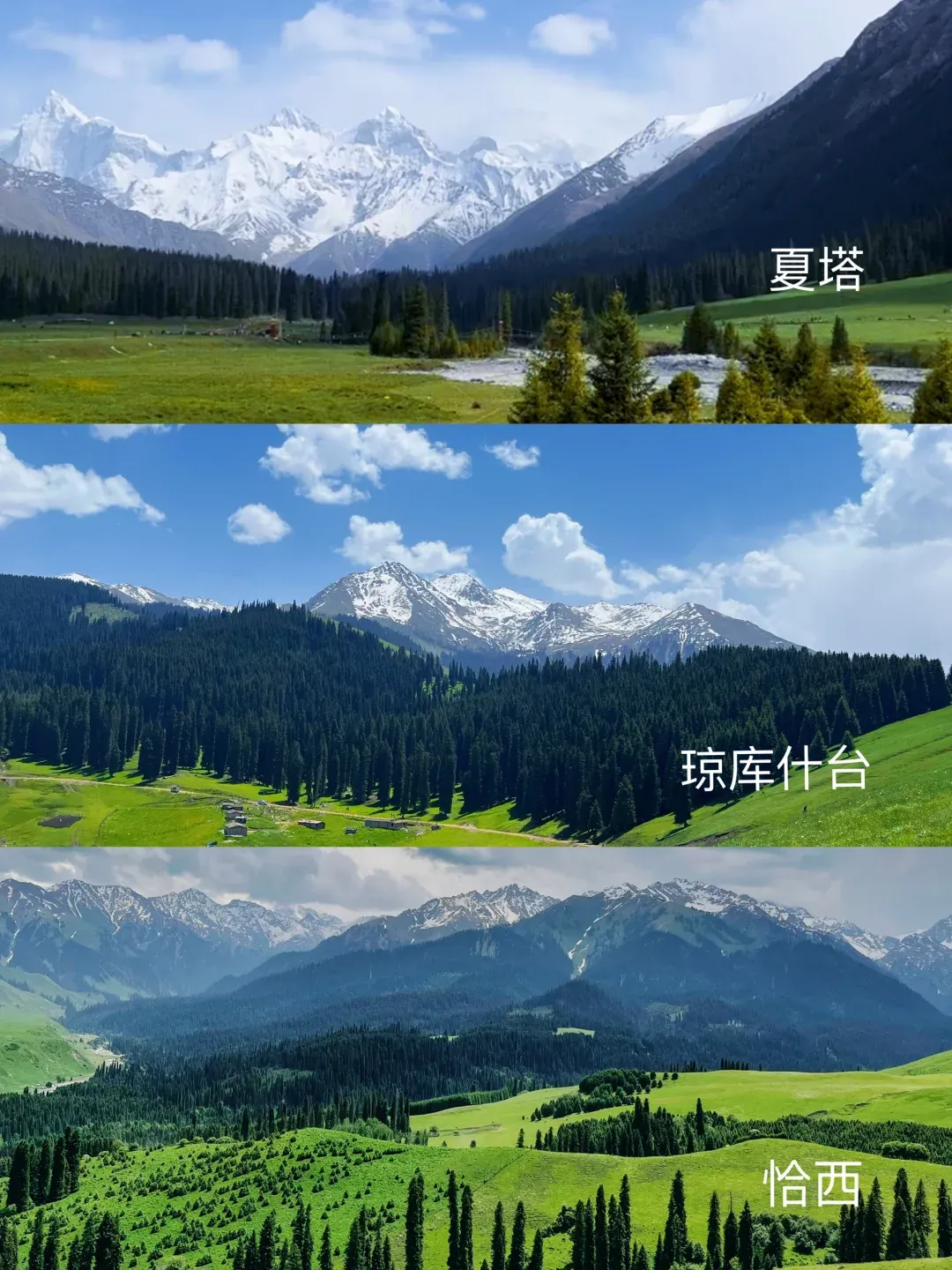 d9680c19b2b3e02d6ef74ee339e1129c-sz_2826506-1 d9680c19b2b3e02d6ef74ee339e1129c-sz_2826506-1