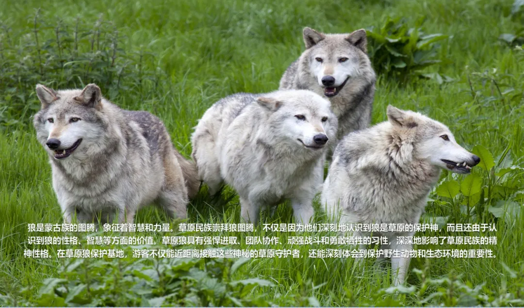 e36151b23d9753c4cd210a2954161a5e-sz_2910258-1 e36151b23d9753c4cd210a2954161a5e-sz_2910258-1