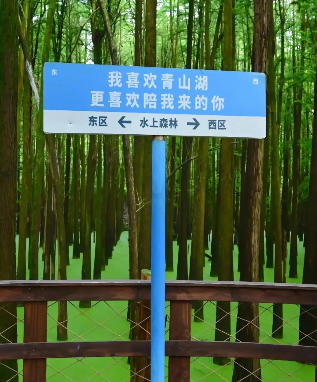 e41df3b47531ec1221a2934447c16ecd-sz_345854 e41df3b47531ec1221a2934447c16ecd-sz_345854