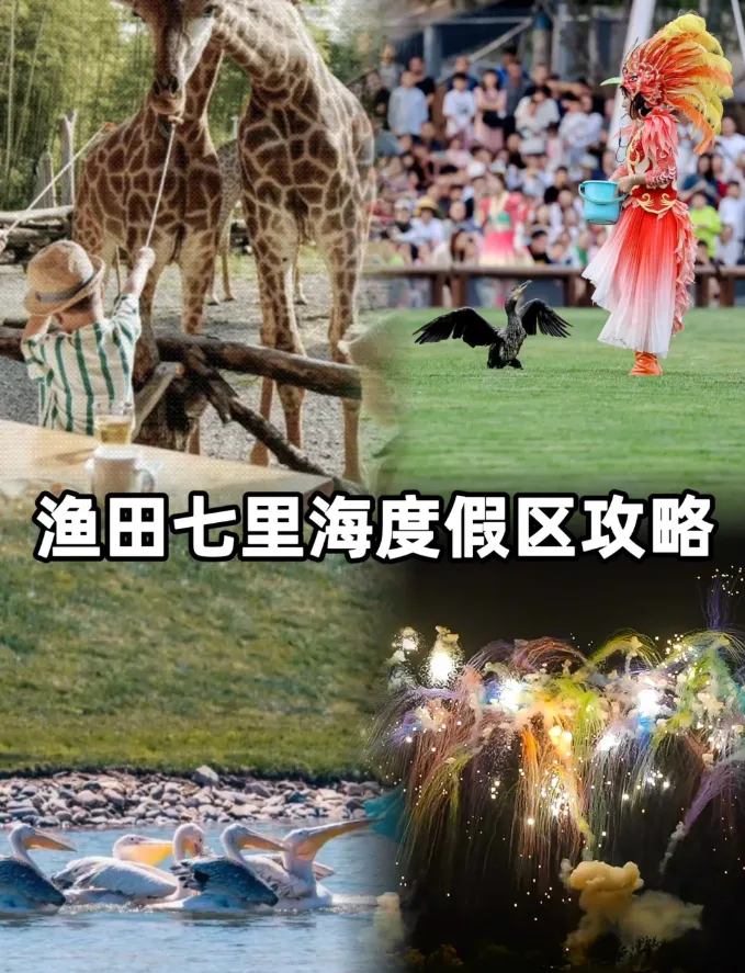 e8659bb6b3aa5219b24337690aeb8ebd-sz_1521390 e8659bb6b3aa5219b24337690aeb8ebd-sz_1521390