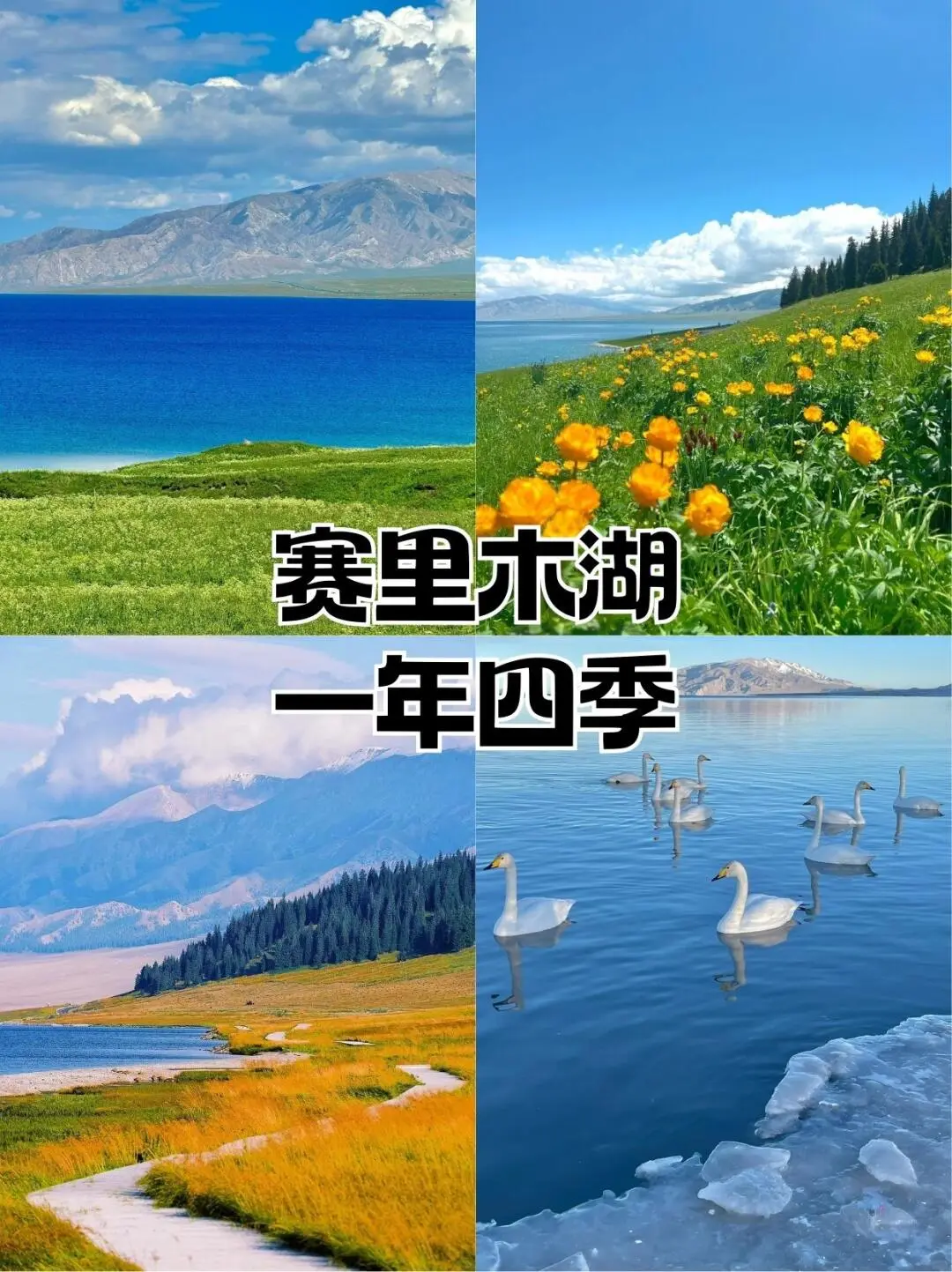 ed0112b545aa81c91f990f206027c494-sz_257741 ed0112b545aa81c91f990f206027c494-sz_257741