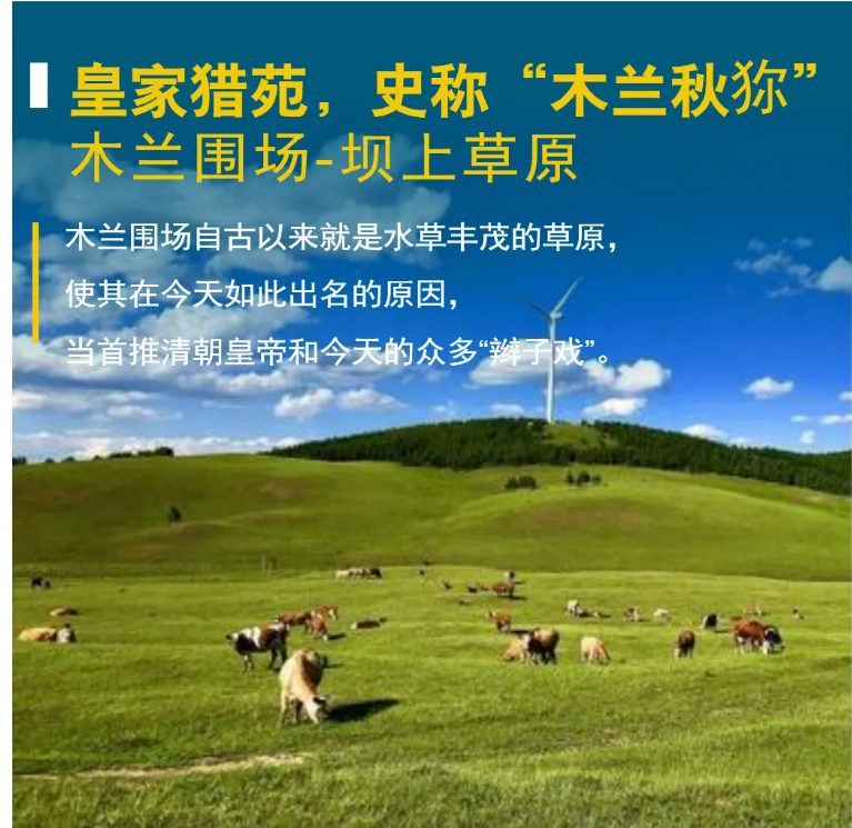 ee2b814cb4384220196fd56b323b9855
