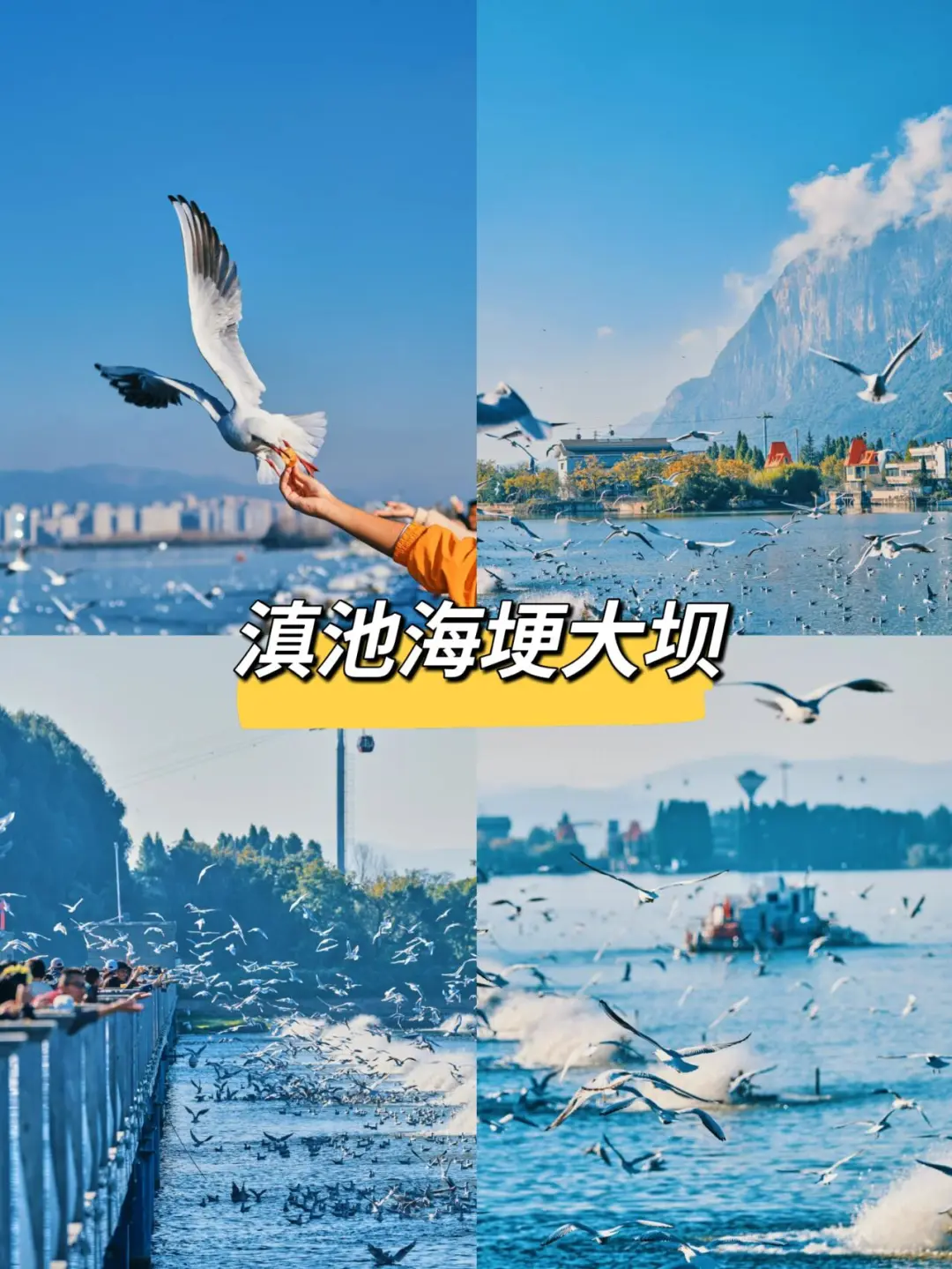 f19e07a919183b806e8c73abf900941e-sz_276159 f19e07a919183b806e8c73abf900941e-sz_276159