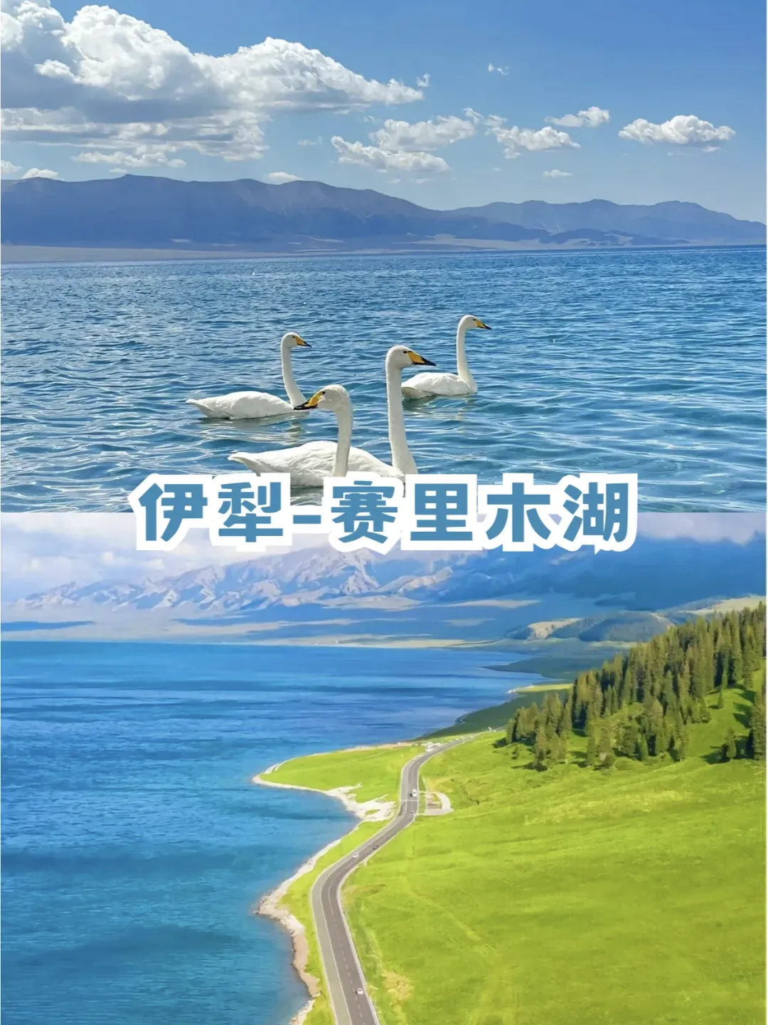 f713533d09464adcdd420dfc0b3f6169-sz_2082929
