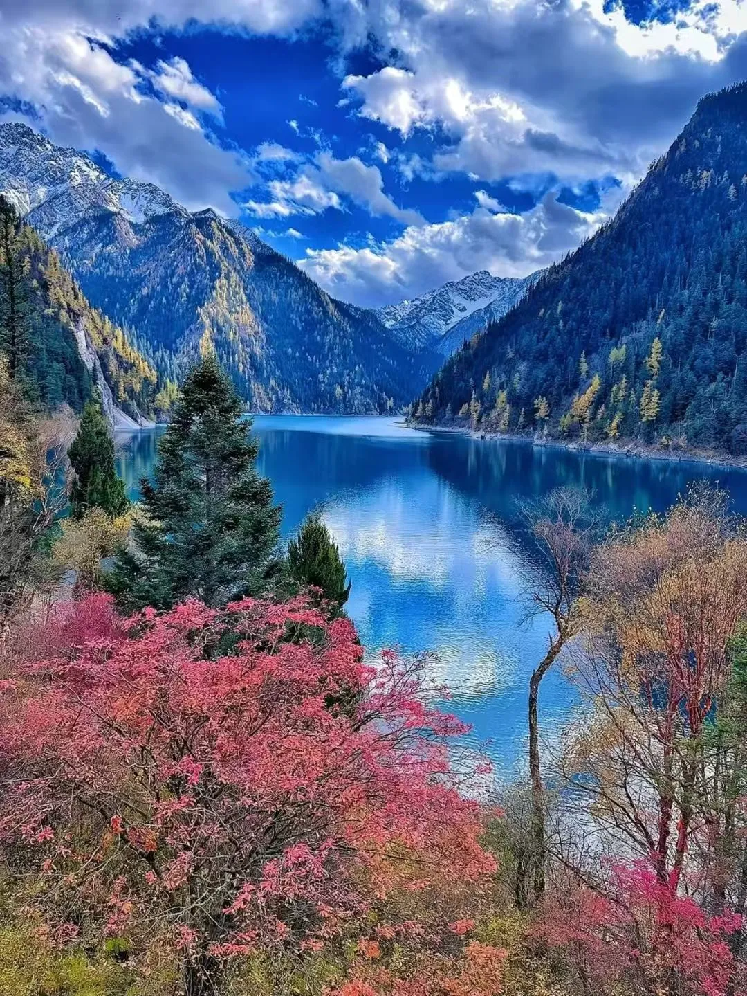 fbdf1ae1eb60979480e36944bd6ab573-sz_487476 fbdf1ae1eb60979480e36944bd6ab573-sz_487476