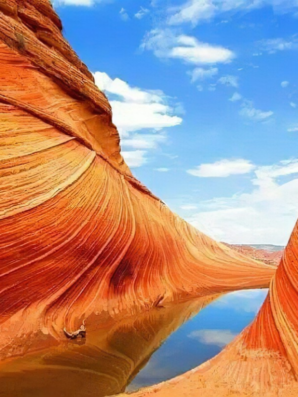 mTkUVXaMvOwSwVJo