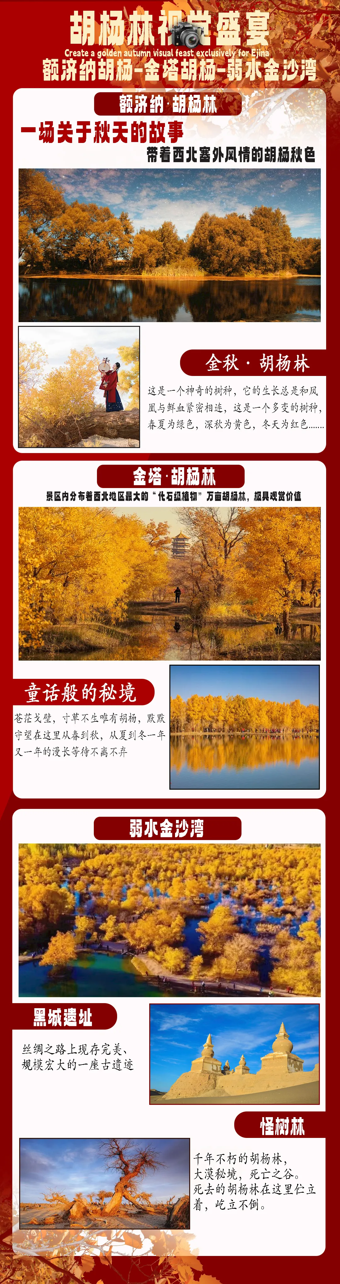 0044babc9b25e524b2108f66c45de65d-sz_3466427-4