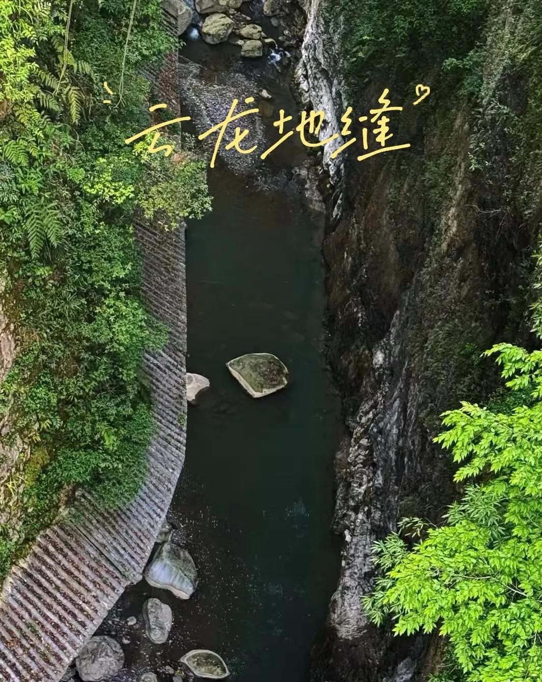 02e7316072ee0031dc11878d30a9d904-sz_584971