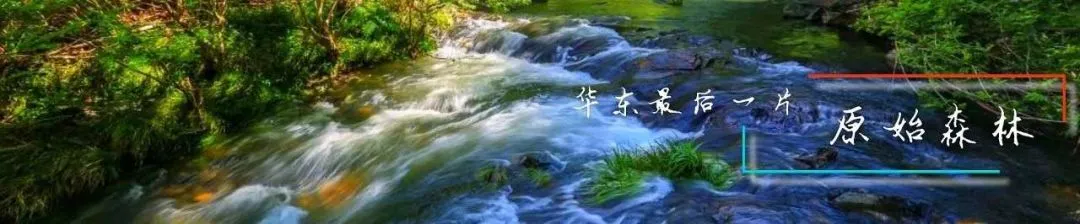 独家报名送漂流【红色大别山❤康养休闲6日游】纯玩699元●免费棋牌唱歌●赠送5早9正餐+升级特色吊锅宴+梅山水库鱼头宴●挺进大别山●会师天堂寨●重走红军路●打卡华东最后一片原始森林