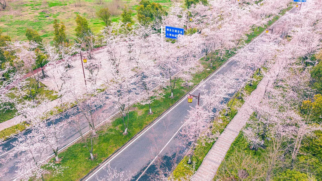 06bc01137eaaf22fb6c4f7cb18473338-sz_2015969