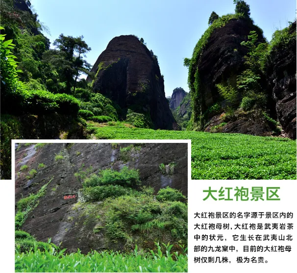 【寻味武夷】武夷山全景高铁四日游