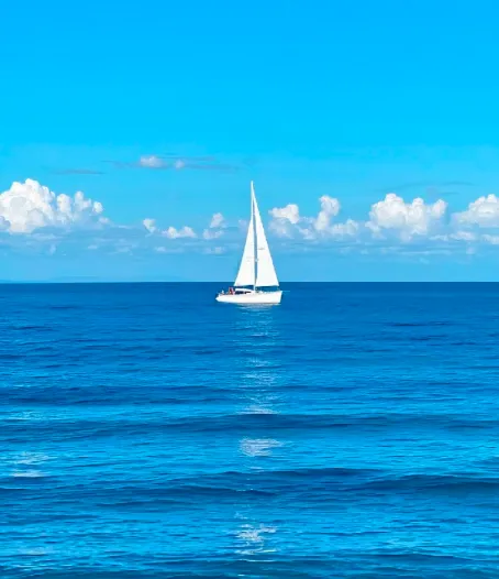 0d31cf3910b169c2bf013eb9ab3bbe67-sz_360449 0d31cf3910b169c2bf013eb9ab3bbe67-sz_360449