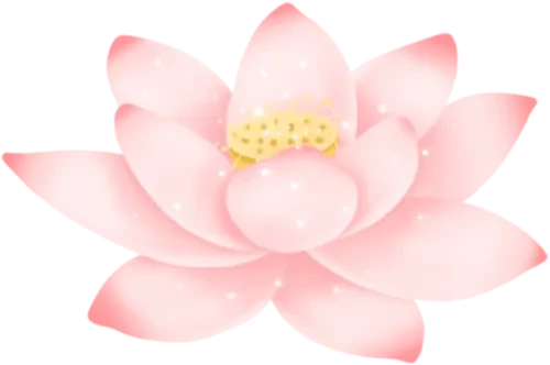 0d5f4356bd03d36ed77f9c06bf721774_sz-96524-1