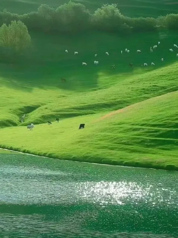 0e46419129795b1e5cfab3e3e847917f-sz_782227