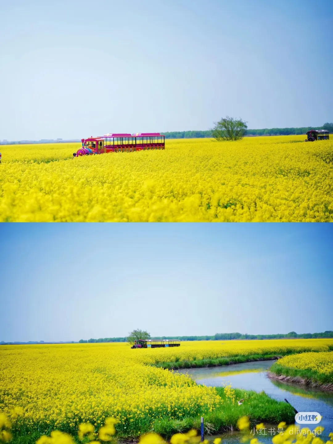 10993176ff48d215dcc9f1af5bec5c8f-sz_1169265