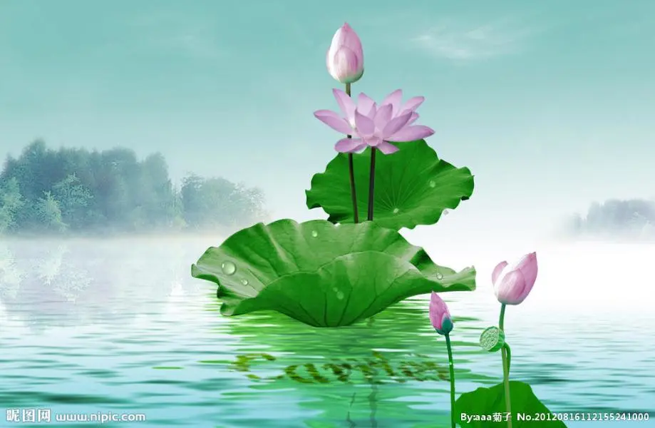 1165bd00eb3f173a52c04e3b65acab44-sz_56470 1165bd00eb3f173a52c04e3b65acab44-sz_56470