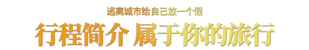 118a37bd03f359708374d52b564aef71-sz_43771