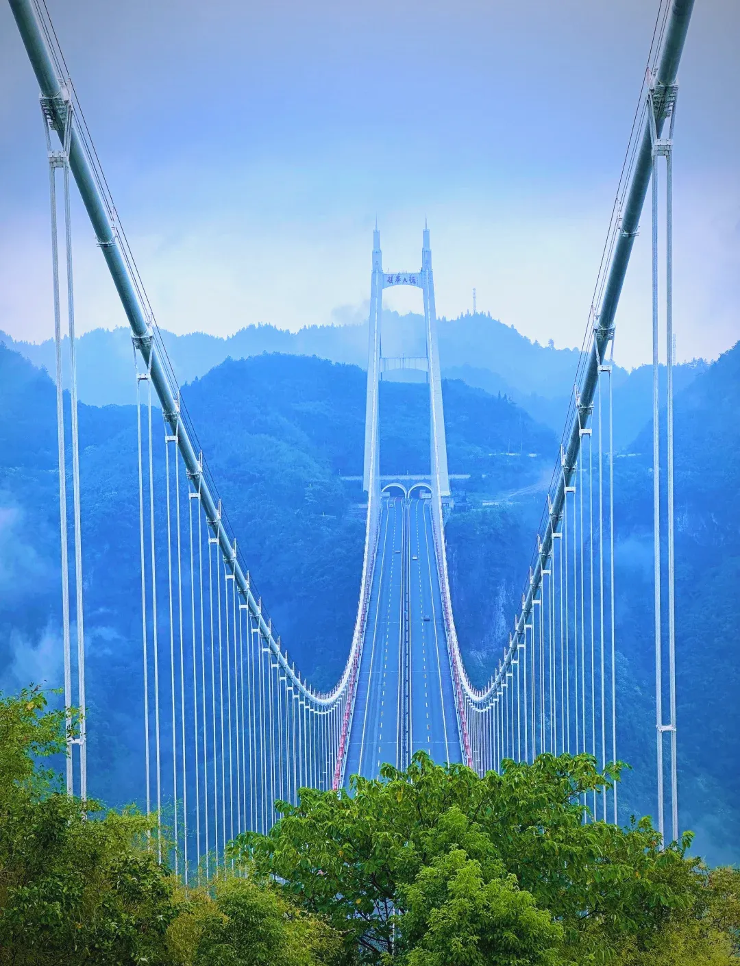 128161bf09df9783896d4ddc31cffc12-sz_2005846 128161bf09df9783896d4ddc31cffc12-sz_2005846