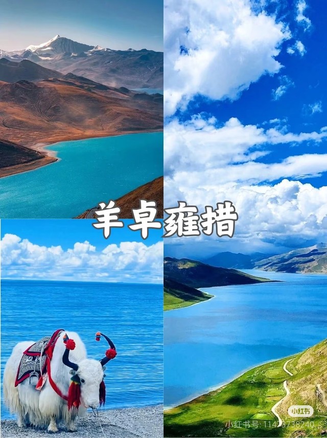 1745910790701Df4aNPy 1745910790701Df4aNPy