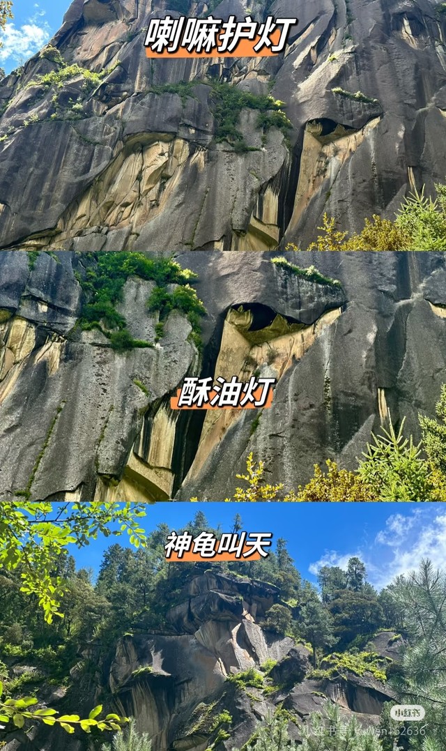 1745911484563FD5i2HK 1745911484563FD5i2HK