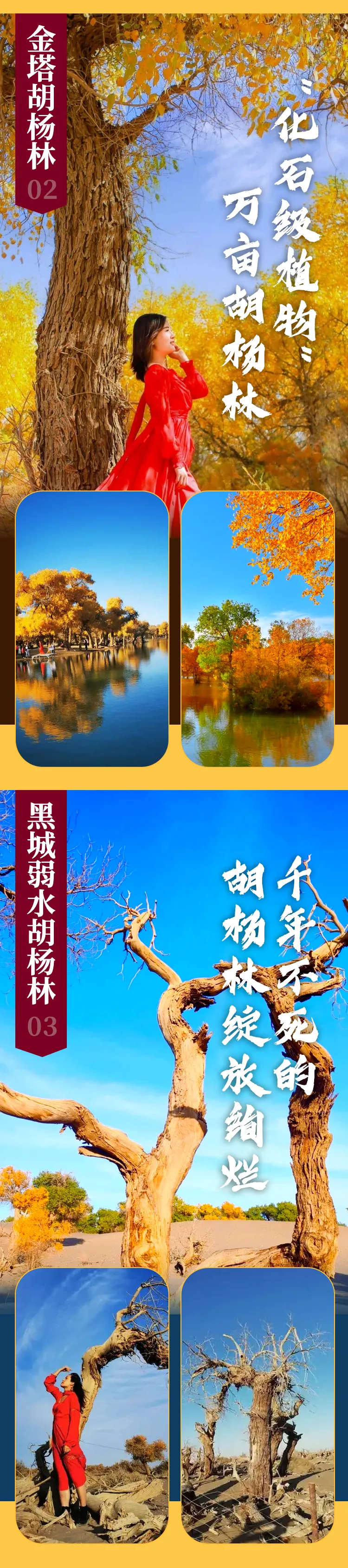 183ac3c9b16ed97cd2b42046f6e8ee28-sz_2322110 183ac3c9b16ed97cd2b42046f6e8ee28-sz_2322110
