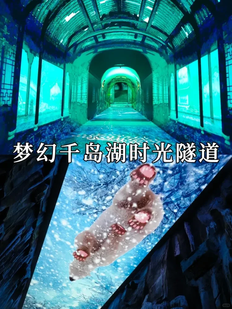 204d467b5c7c1f2f549291def47eb272-sz_2283060