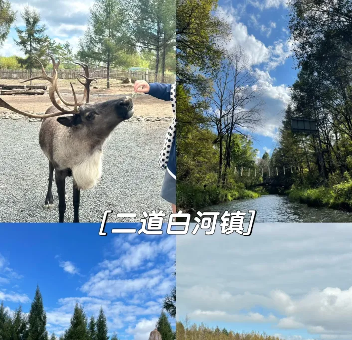 【双飞大东北8日】上海直飞·3580元起！长白山天池、镜泊湖、中央大街全含，品庆岭活鱼，住温泉酒店+四钻，100%纯玩，7-10月速抢！