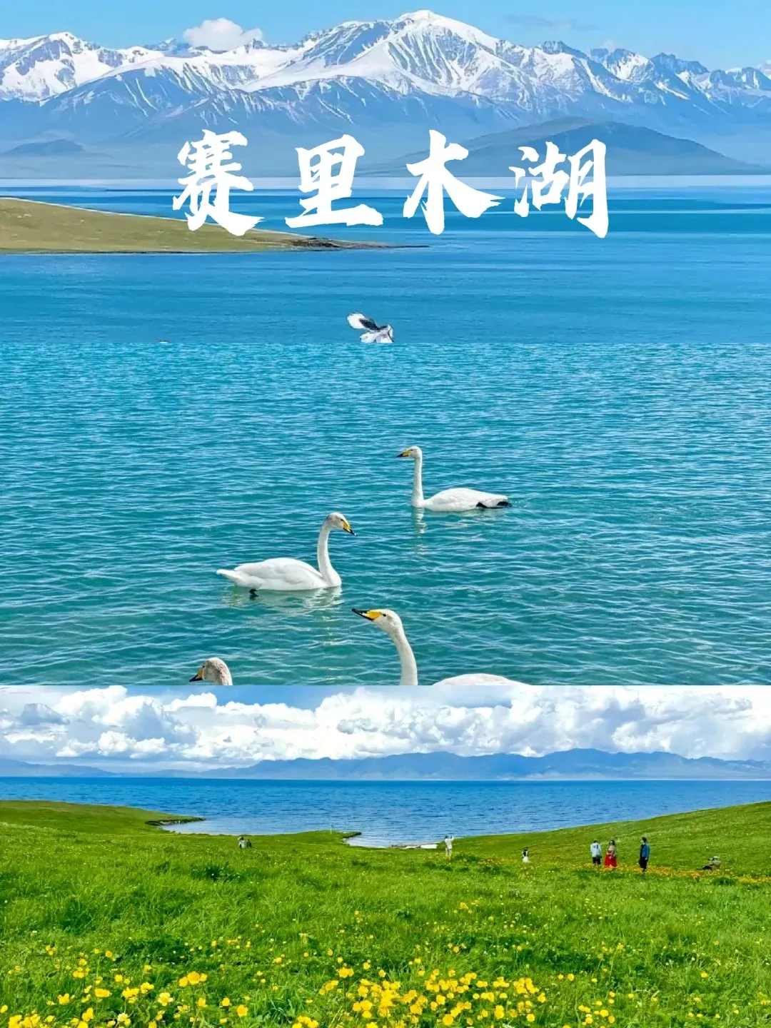 206887d5a4d9dff1e28e29107dcd2688-sz_486556 206887d5a4d9dff1e28e29107dcd2688-sz_486556