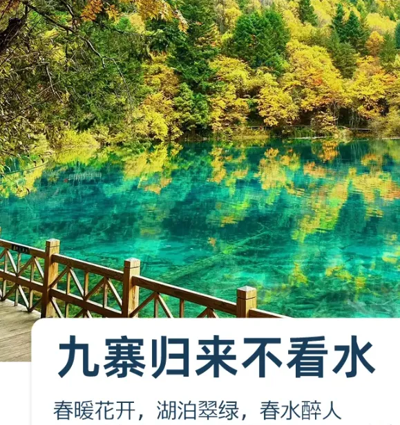 223b6202788c6c98db3480b50e8f0f98-sz_763817