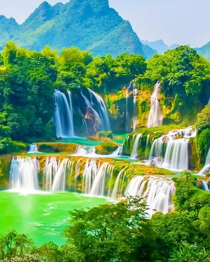 22f4d77ed6c911fa0368b0cdc25f6453-sz_269559 22f4d77ed6c911fa0368b0cdc25f6453-sz_269559