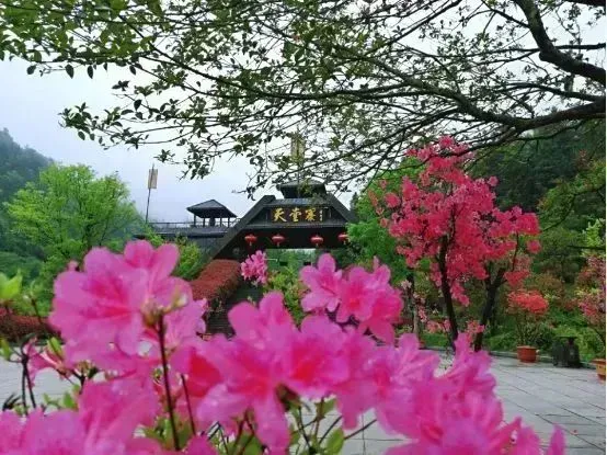 699元/人天堂寨汽车纯玩避暑康养5天4晚-大别山天堂寨-白马大峡谷-马鬃岭-4早6正