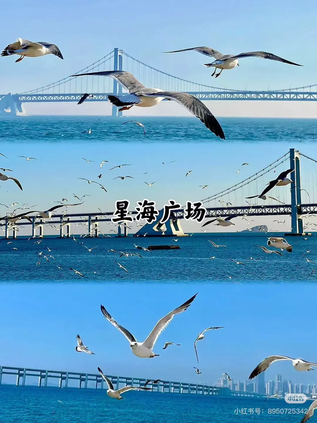 27f2863d9b54859930f62acc445a8703-sz_293650 27f2863d9b54859930f62acc445a8703-sz_293650