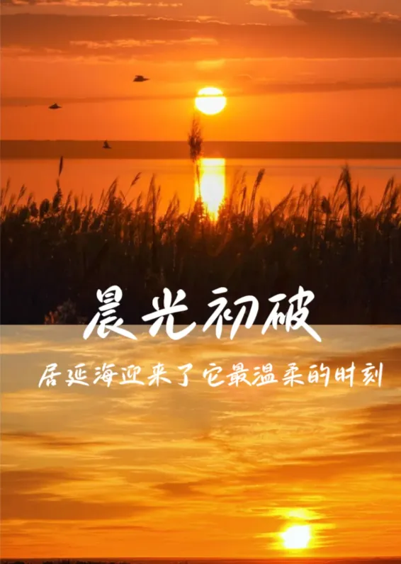 299946a5b14d5e3076ada82384a0cc82-sz_860973-4