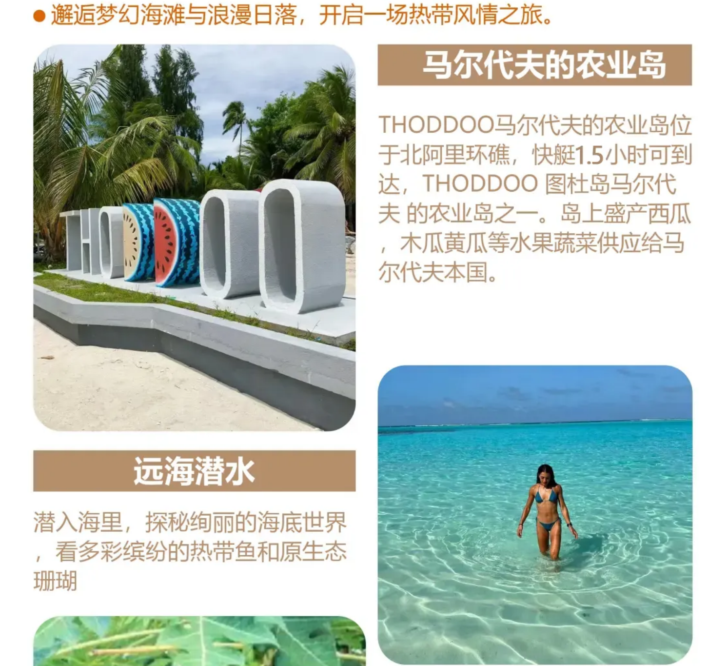 2a3dad99bb298c294f403fe1dba95b50