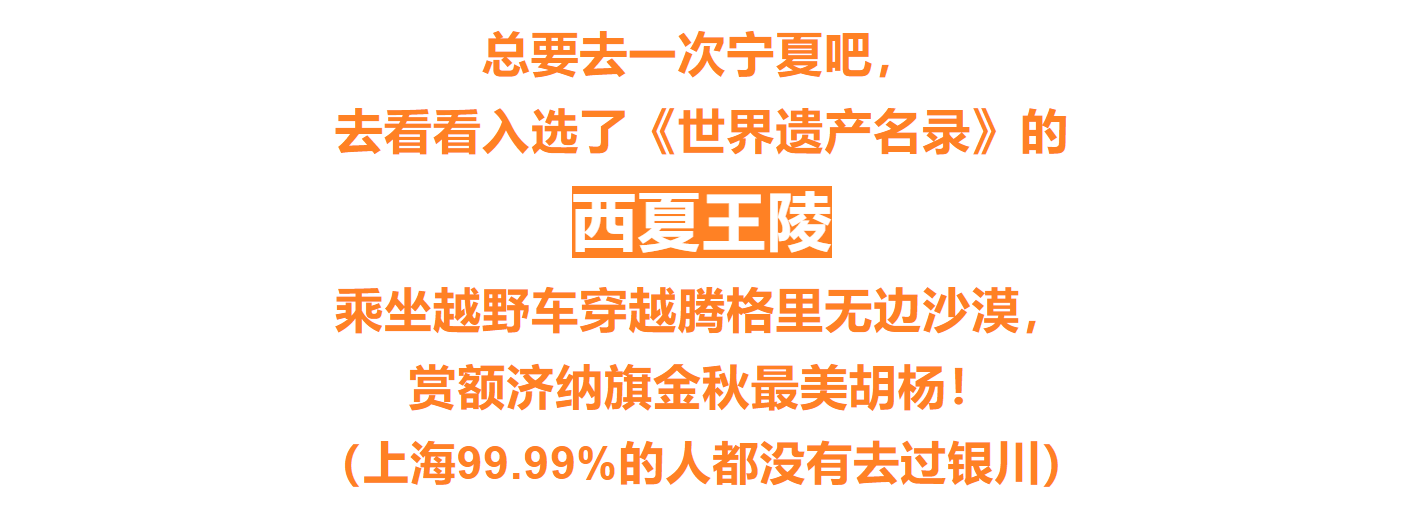 2b233e1749fd9405b4c726a8d697f34e