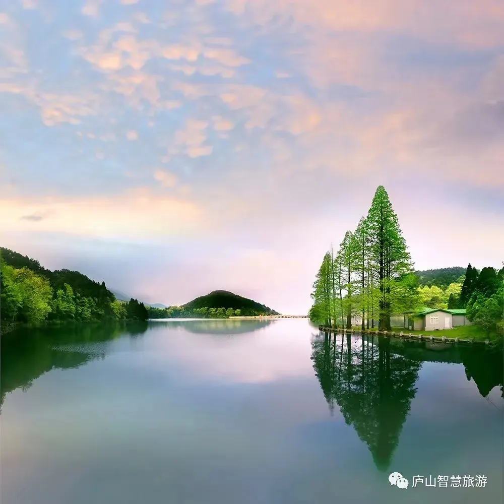 32cc66d1d56273ab767e3ba4763cb42f-sz_447989-1