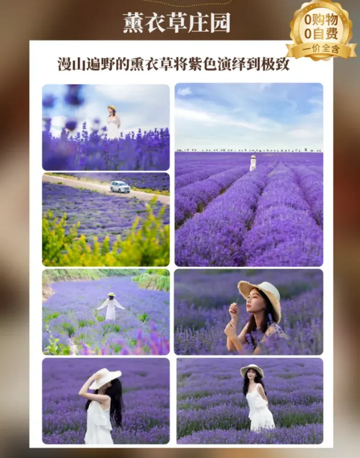 3b08c9c97cafce7b02f02e4db69df355-sz_1328235 3b08c9c97cafce7b02f02e4db69df355-sz_1328235