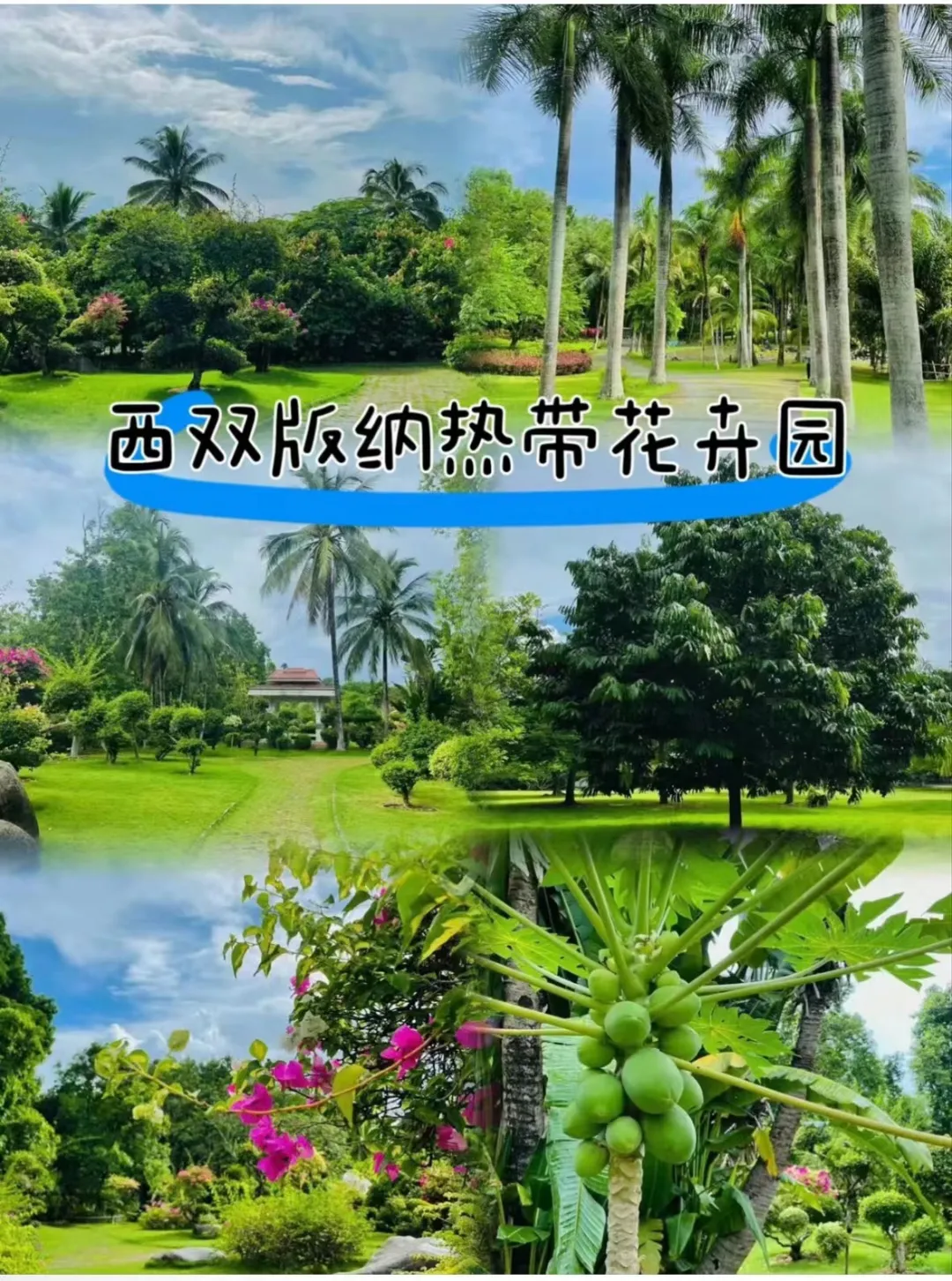 3d3fc0f848602b2495ea79d5349029f2-sz_582927