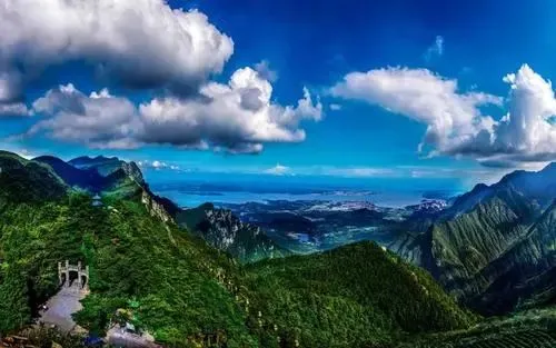4233bf25513d79fb75ddb755c4d9526f-sz_35036