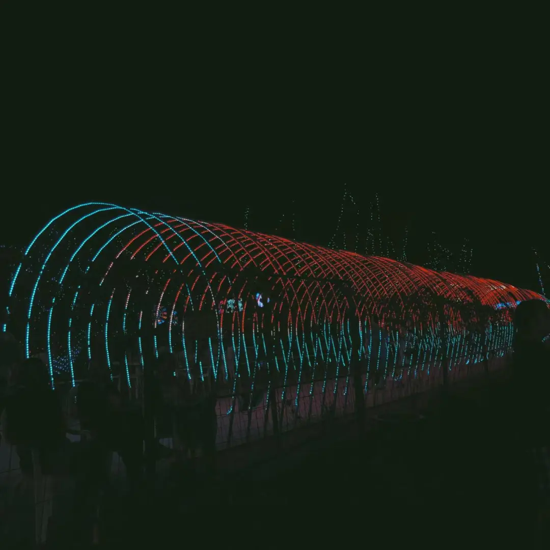 462daab8394fa86ab28a582921e1f0d8-sz_111770