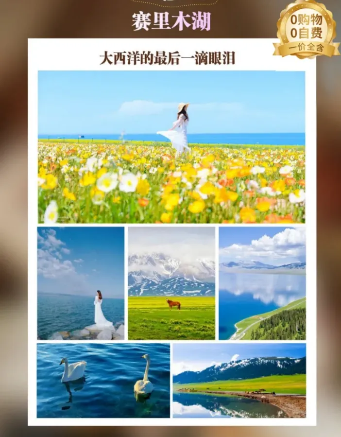 48d7fb509d3f3f2eac2db32d1864b8db-sz_1233572 48d7fb509d3f3f2eac2db32d1864b8db-sz_1233572