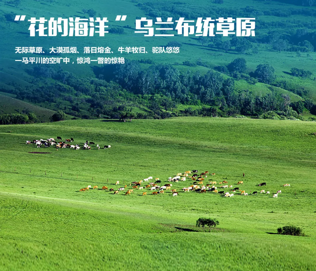 4d8dc4c7f5adc5a4876cffe674a3811e-sz_2730139 4d8dc4c7f5adc5a4876cffe674a3811e-sz_2730139