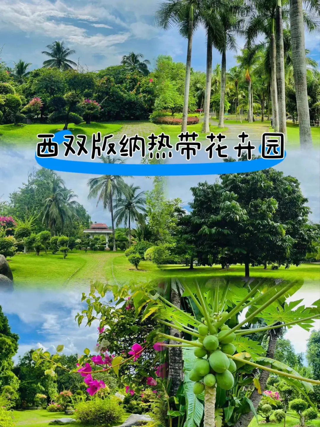 5031a61872a899acd64d999910992c58-sz_513678 5031a61872a899acd64d999910992c58-sz_513678
