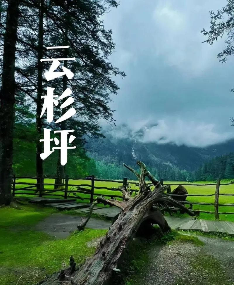 纯玩18人轻奢小团【云栖.拾花】丽江.大理5日（保证1单1好评，无好评赔款门店200/组 ）☎