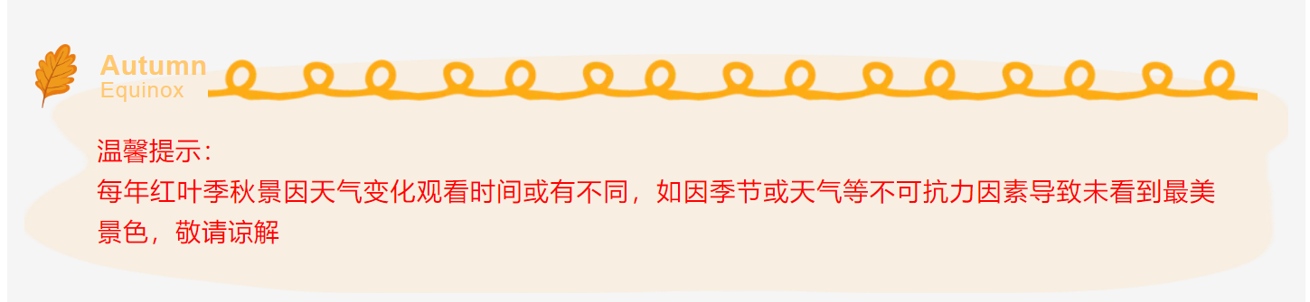 538ca90b75bba4dbc07bcb96b8498323