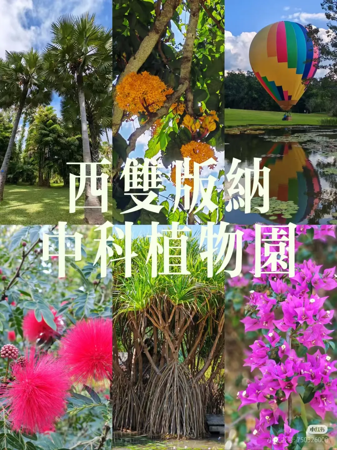 5954d38c37c1574f9ff327f4aeba59fe-sz_4091523 5954d38c37c1574f9ff327f4aeba59fe-sz_4091523