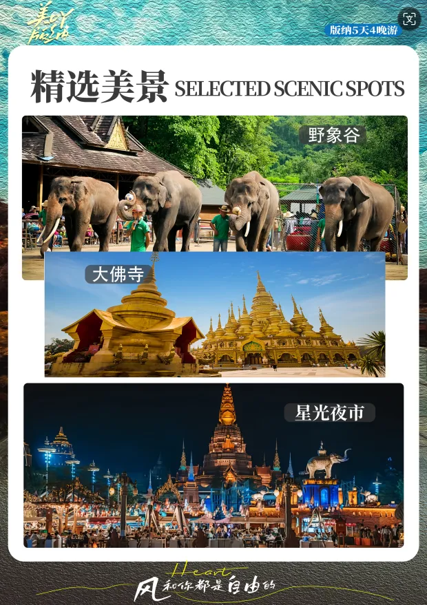 特惠版纳★直飞版纳 超值纯玩2499元 0购物放肆嗨 孔雀飞舞 与大象亲密互动 精选三钻酒店 ▲野象谷|原始森林|花卉园