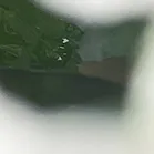 64bf82cac837ee49fccf6b072cf1ebcb_sz-1143469-5