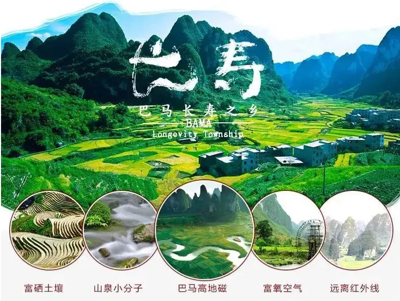 64e03e6217b6a5d6b6cf51481703fe20-sz_843120-1